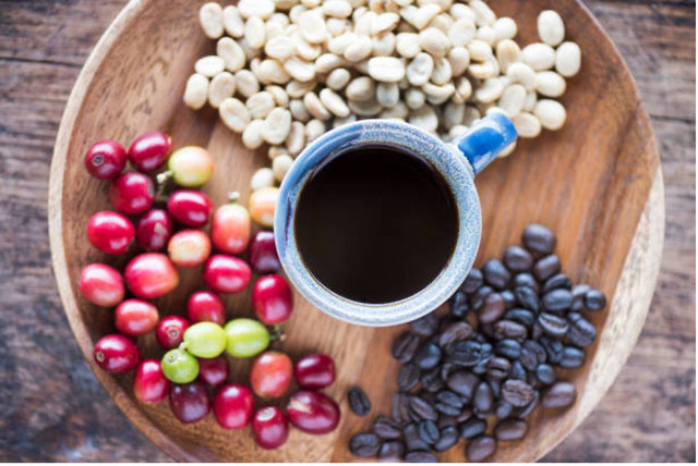 Bentuk buah kopi, kopi setelah fermentasi, kopi setelah di roasting, dan minuman kopi  (Sumber Gambar: https://www.istockphoto.com/)