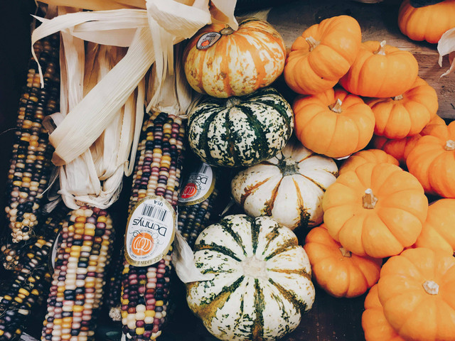 Photo oleh Abby Kihano dari Pexels: https://www.pexels.com/photo/winter-squash-beside-corn-230127/