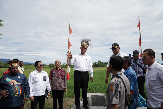 Mentan Andi Amran Sulaiman (tengah) meninjau penanaman padi dan cetak sawah di Manokwari, Papua Barat, Jumat (31/5/2024). Foto: Dok. Istimewa