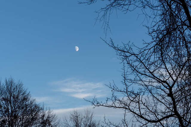 Ilustrasi Bulan di siang hari. Foto: Barbara Smits/Shutterstock