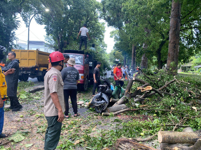 Petugas evakuasi wanita di Medan tewas tertimpa pohon pada Jumat (31/5). Foto: Dok. BPBD Kota Medan