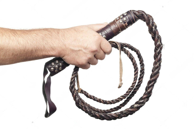 Ilustrasi ( Sumber : Shutterstock https://www.shutterstock.com/id/image-photo/male-hand-holding-brown-leather-whip-146933858 )