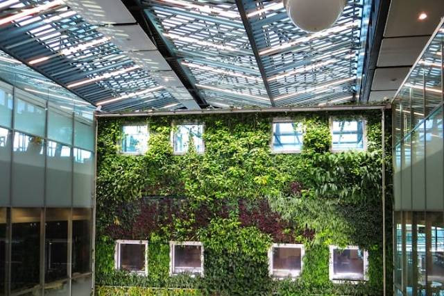 Ilustrasi cara membuat vertical garden, sumber foto: Magda Ehlers by pexels.com