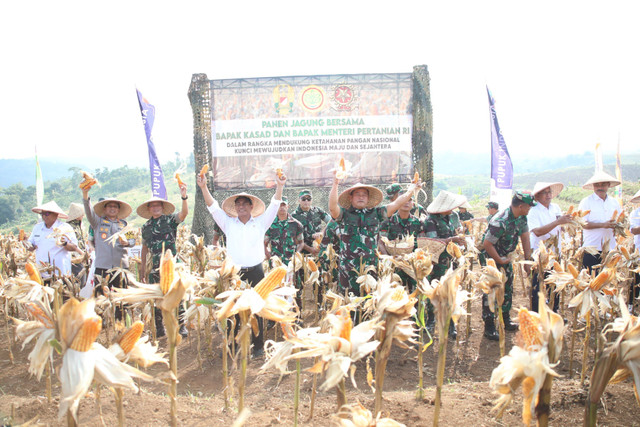 Mentan Andi Amran Sulaiman bersama Kepala Staf Angkatan Darat (KSAD), Jenderal TNI Maruli Simanjuntak memanen jagung di lahan pertanaman Kostrad, Desa Ciemas, Kecamatan Neglasari, Kabupaten Sukabumi, Selasa (4/6/2024). Foto: Dok. Istimewa