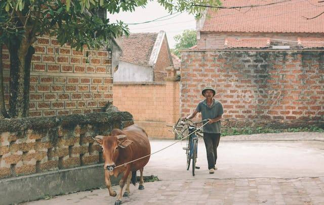 Shohibul qurban adalah orang yang berkurban. Saat melaksanakan ibadah qurban, Foto: Pexels.com