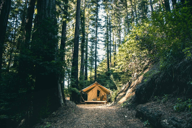 Situ Gunung Glamping. Foto hanya ilustrasi, bukan tempat sebenarnya. Sumber: Unsplash/jeremy bishop