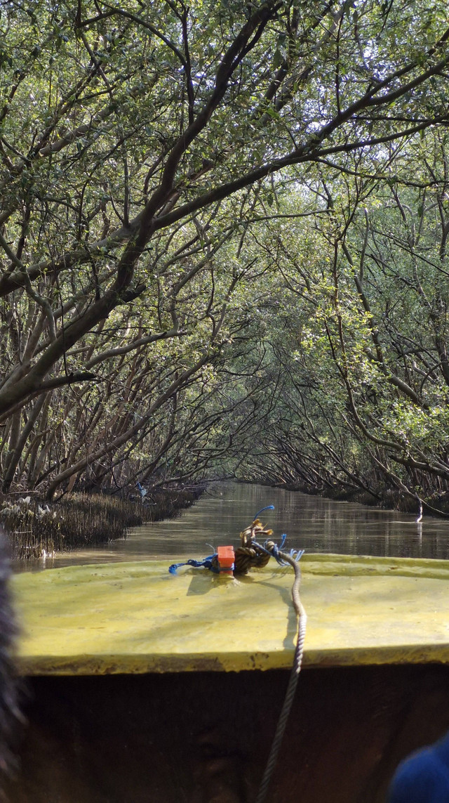 Kegiatan menyusuri sungai bersama pengelola wisata. Foto : Dokumentasi Projek Kolaborasi Unair