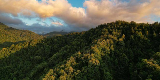 Bukit Cambai, foto hanya ilustrasi bukan gambar sebenarnya, Sumber: Unsplash/Maksim