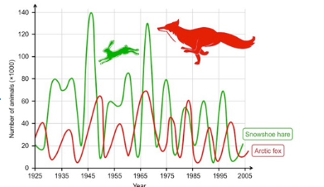 Gambar soal KMS IPA MTS. Foto: mtsnurussalam.sch.id