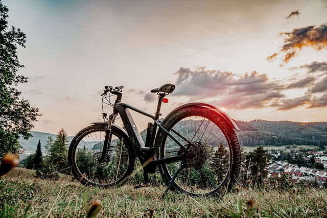 Ilustrasi cara melepas stang sepeda wimcycle. Sumber: pixabay