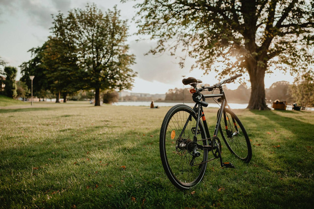 Ilustrasi sepeda fixie. Sumber foto: Unsplash