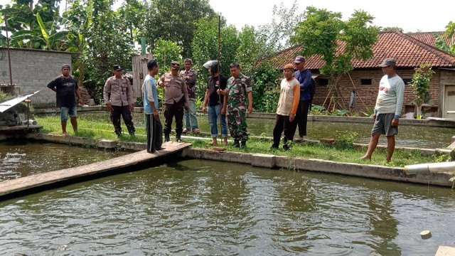 Kolam ikan di Dusun Ngipik, Desa Bono, Kecamatan Boyolangu, Kabupaten Tulungagung, lokasi tiga bocah yang tercebur. Foto: Dok. Polres Tulungagung