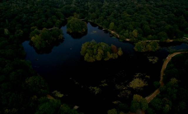 Danau Ozarks. Sumber foto: Unsplash/Jay Mullings