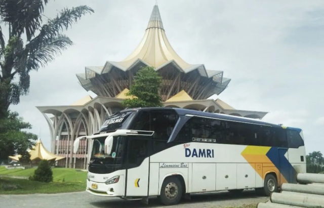 Bus DAMRI di Kucing. DAMRI buka rute Pontianak-Kuching hanya Rp 270 ribu. Foto: Dok. DAMRI