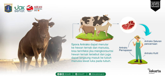 Sumber Gambar: https://dinkes.jakarta.go.id/
