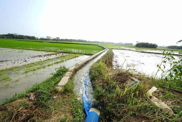 Kementerian Pertanian (Kementan) memberikan bantuan berupa mesin pompa kepada petani di Desa Nusadadi, Kecamatan Sumpiuh, Kabupaten Banyumas, demi meningkatkan produksi. Foto: dok. Kementan