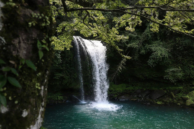 Curug Ceret Naringgul. Foto hanya ilustrasi bukan tempat sebenarnya. Sumber: Unsplash/Slnc