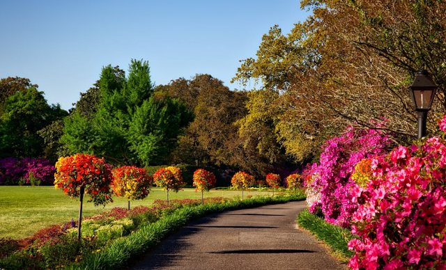 the nice park bandung. Foto hanya ilustrasi, bukan tempat sebenarnya.Sumber: Pexels/Pixabay