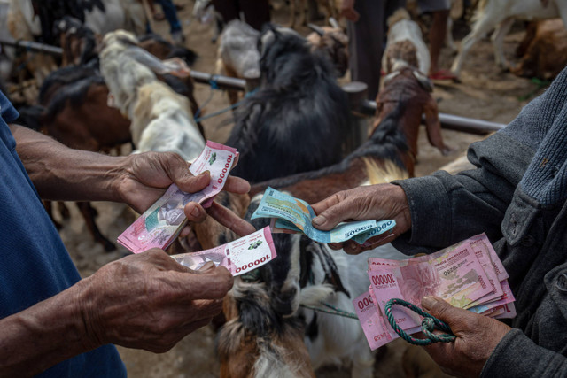 Seorang peternak melakukan transaksi jual beli kambing dengan pembali di pasar penanggalan Jawa (Pasaran Pon), Pasar Hewan Pon Ambarawa, Kabupaten Semarang, Jawa Tengah, Senin (10/6/2024). Foto: Aji Styawan/ANTARA FOTO 