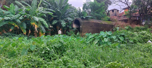 Goa Jepang yang berada di kawasan belakang Pasar Tradisional KM 5, Palembang, Foto : Ist