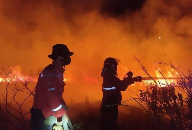 Manggala Agni melakukan pemadaman kebakaran lahan, Foto : Dokumen Manggala 