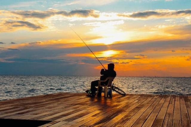 Ilustrasi tips mancing patin liar, sumber foto: Snapwire by pexels.com
