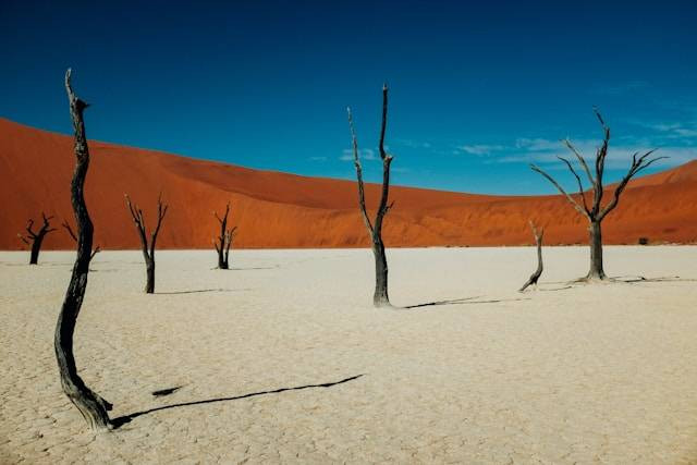 Pilihan Tempat Wisata di Namibia. Foto hanya ilustrasi bukan tempat sebenarnya. Sumber foto: Unsplash.com/Ashim D’Silva