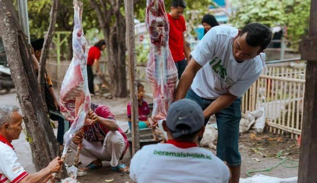 Proses pemotongan hewan qurban oleh tim Indonesia Beramal Sholeh (IBS). (10/07/22) Foto: Raihan Al Ghifary/IBS