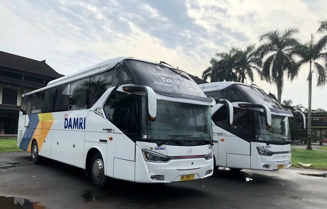 Ilustrasi bus DAMRI Foto: dok. Damri