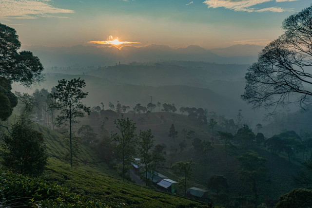 Kampung Wisata Kreatif Pasir Kunci. Foto hanya ilustrasi, bukan tempat sebenarnya. Sumber: Unsplash/Hanandito Adi