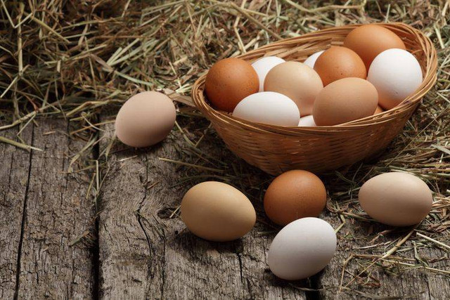 Ilustrasi telur ayam. Sumber: Shutterstock oleh Shulevskyy Volodymyr.