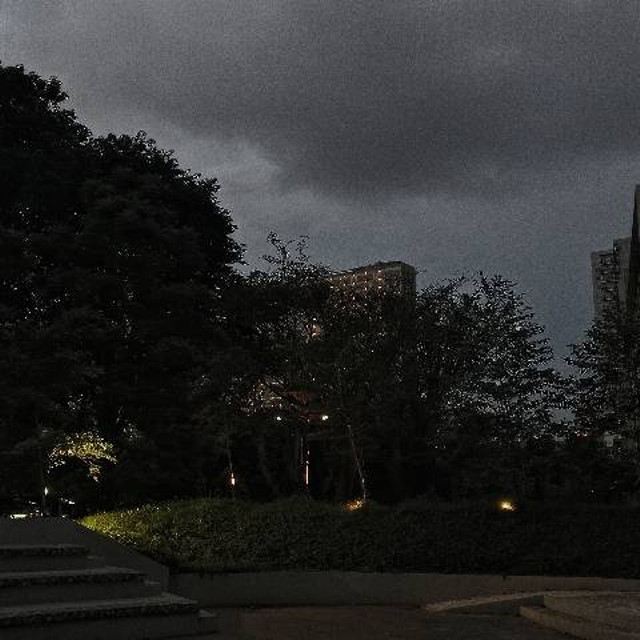 Taman, Rumah Sakit Universitas Indonesia