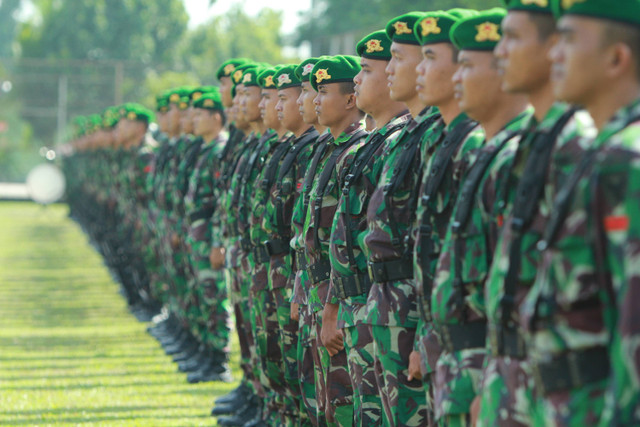 Ilustrasi TNI Foto: hanffburhan/Shutterstock