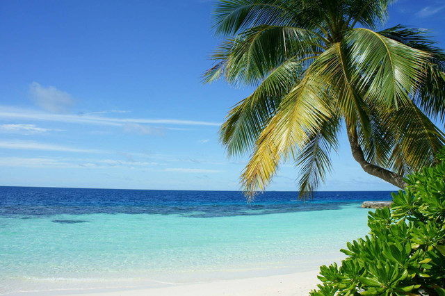 Pantai Mahbang. Foto hanya ilustrasi, bukan tempat sebenarnya. Sumber foto: Unplash/Pedro Monteiro