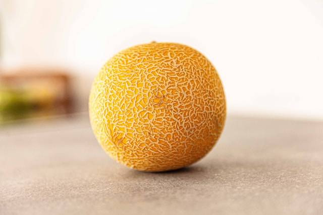 Ilustrasi penyakit tanaman melon. Foto: Kenny K/Unsplash