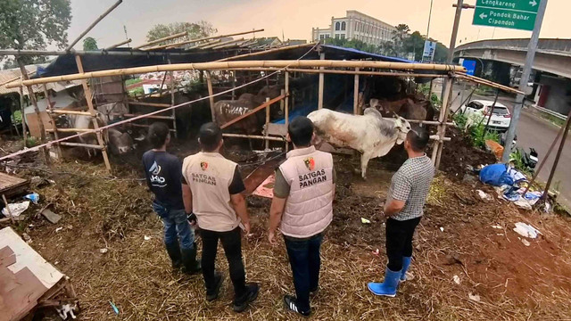 Satgas Pangan Polri meninjau sejumlah lokasi penjualan hewan kurban jelang  Idul Adha 2024. Foto: Dok. Satgas Pangan Polri