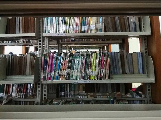 Ilustrasi Perpustakaan (Grhatama Pustaka DIY), Foto oleh: Penulis