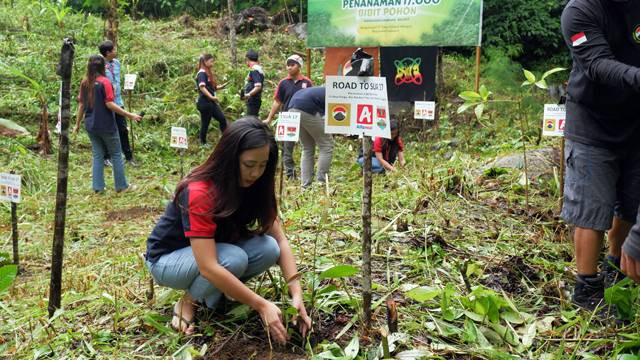 Karyawan Alfamidi menanam bibit pohon di area Agro Wisata Salak, Desa Pangu, Kabupaten Minahasa Tenggara, dalam rangka gerakan penanaman 2.500 pohon.