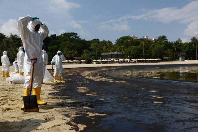 Para pekerja beristirahat saat membersihkan tumpahan minyak di Pantai Tanjong di Sentosa, Singapura (16/6/2024). Foto: Edgar Su / REUTERS