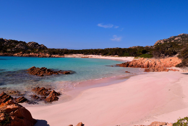 Pantai Pink Sardinia, Italia Foto: silentstock639/Shutterstock