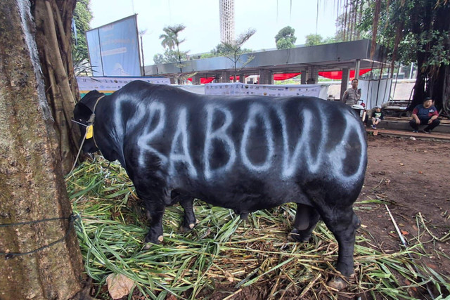 Partai Gerindra Salurkan Ratusan Hewan Kurban ke Masyarakat, Habaib, Ulama, Masjid, dan Mushola Foto: Dok. Istimewa