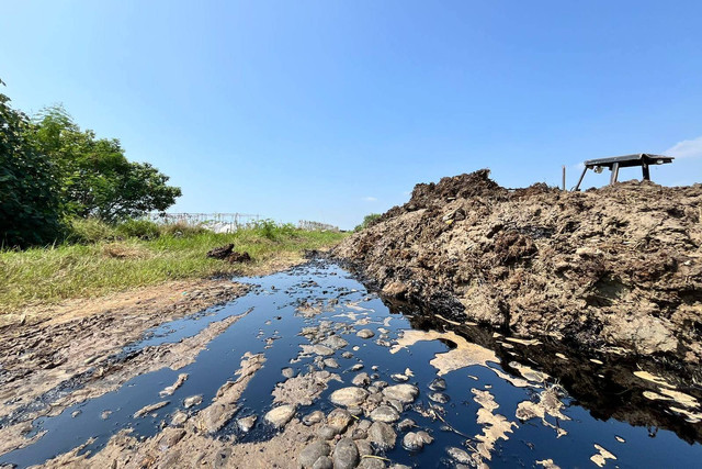 Minyak mentah berceceran di sekitar lokasi bocornya pipa milik Pertamina di Desa Limbangan, Kecamatan Juntinyuat, Kabupaten Indramayu, Minggu (16/6/2024). Foto: kumparan