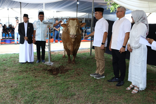 Bank Mandiri salurkan hewan kurban dalam memperingati Hari Raya Idul Adha 1445 Hijriah. Foto: Dok. Bank Mandiri