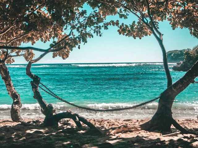 Pantai Empu Rancak (Foto hanya ilustrasi, bukan tempat sebenarnya) Sumber: unsplash.com/ Gallan Romansyah