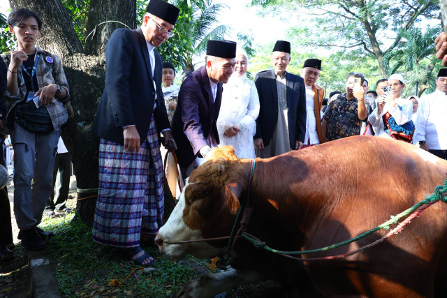 Pj Wali kota Palembang Ratu Dewa saat menyerahkan hewan kurban untuk warga Palembang, Foto :Ist