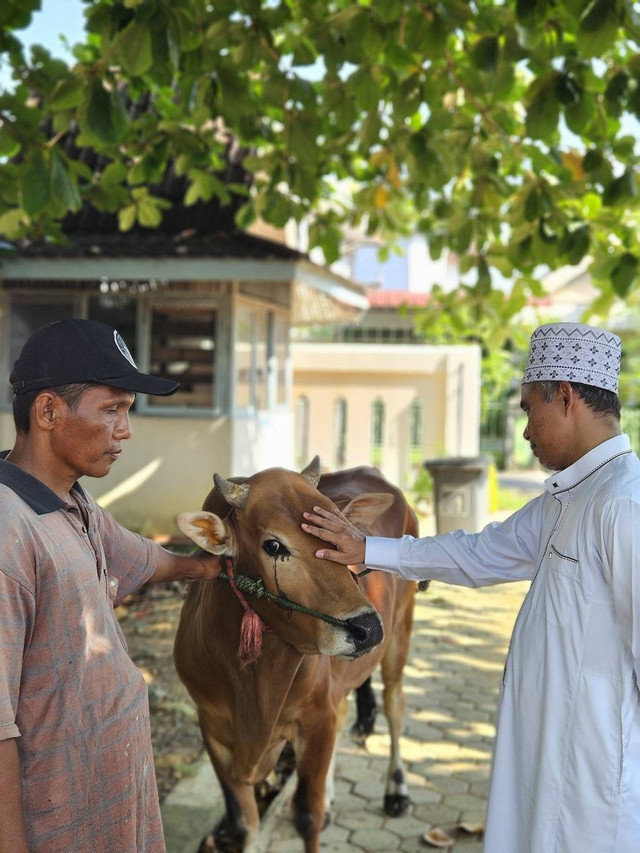 Region Head PTPN IV Regional V, Khayamuddin Panjaitan saat menyerahkan hewan kurban. Foto: Dok. PTPN XIII