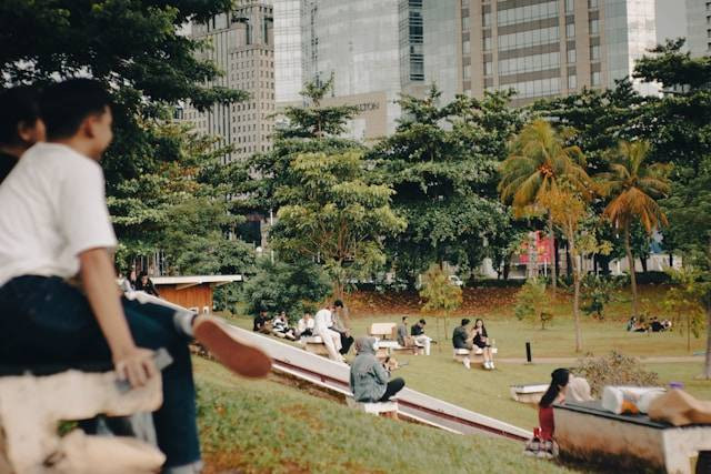 Masuk Hutan Kota GBK. Ilustrasi Foto hanya ilustrasi, bukan tempat sebenarnya.Sumber:Unsplash/Falaq Lazuardi