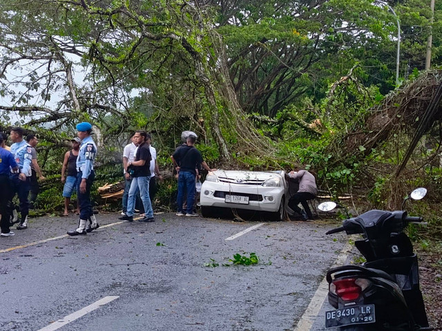 Pohon tumbang menimpa mobil Avanza yang melintas di dusun Wailawa, Desa Tawiri, Kecamatan Teluk Ambon. Foto: Dok. Istimewa