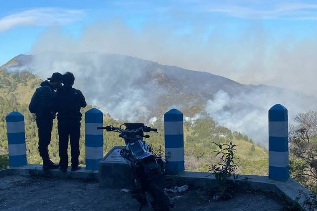 Kebakaran hutan terjadi di kawasan wisata Gunung Bromo, Kamis (20/6/2024). Foto: Dok. BPBD Jatim