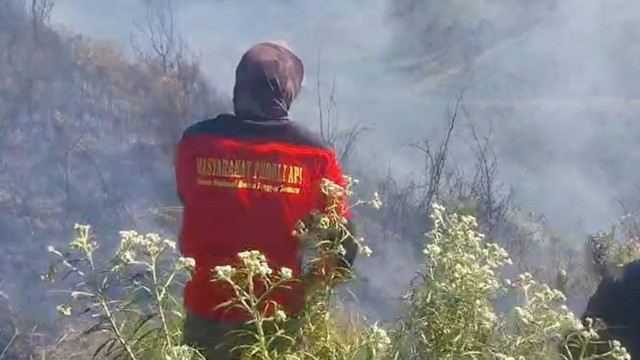 Kebakaran hutan terjadi di kawasan wisata Gunung Bromo, Jawa Timur, Kamis (20/6/2024). Foto:  Dok. TNBTS